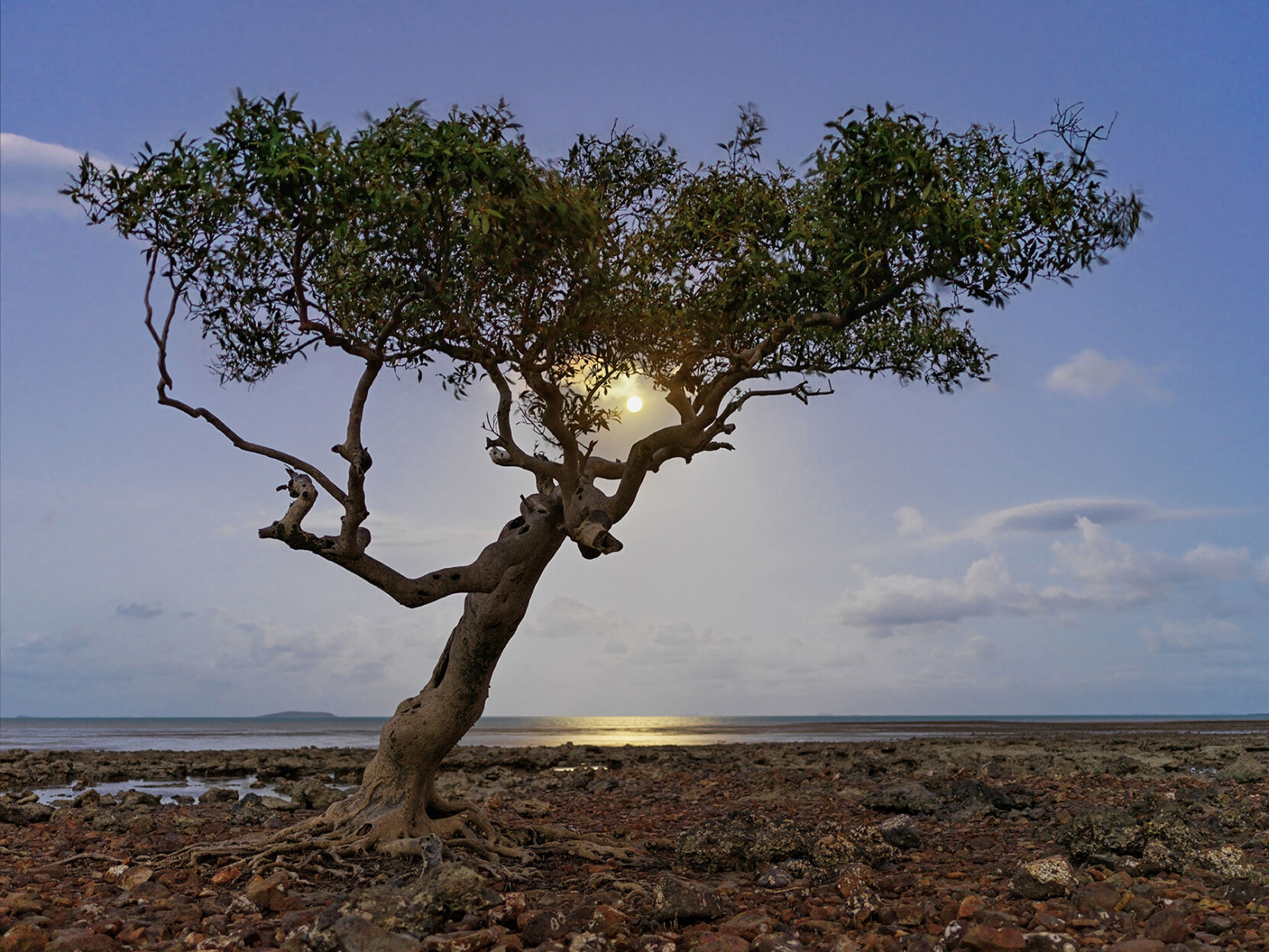 A Visual 7. Paul McDermott’s photography on display at Center for the Arts La Petite Galerie..jpg